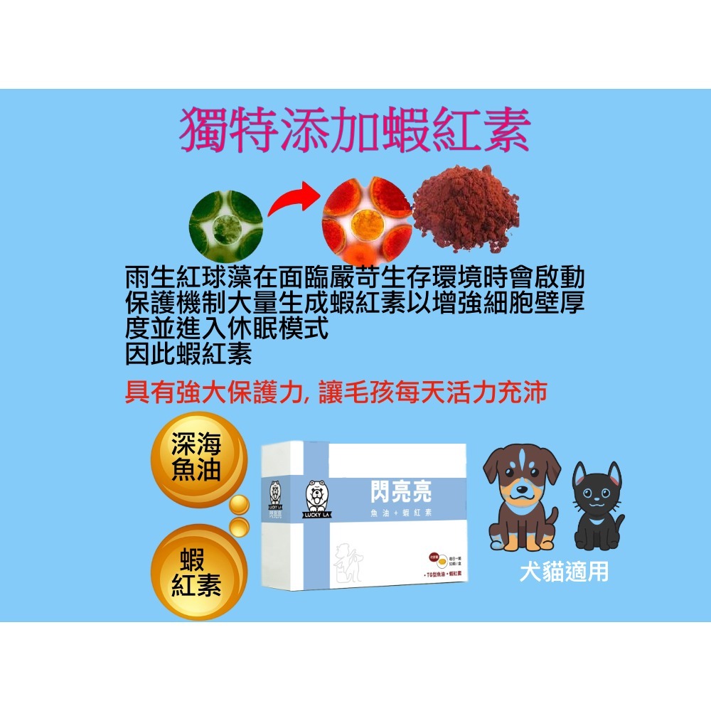 [Lucky LA 萌小毛] 閃亮亮 寵物魚油 50顆/盒 閃亮魚油 蝦紅素魚油 黃金魚油 專利技術無魚腥味 5.0-細節圖7