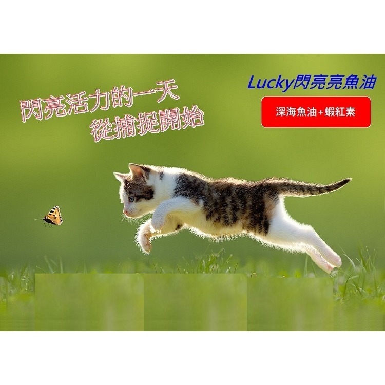 [萌小毛] 閃亮亮 寵物魚油 50顆/盒 閃亮魚油 蝦紅素魚油 黃金魚油 專利技術無魚腥味 5.0-細節圖4