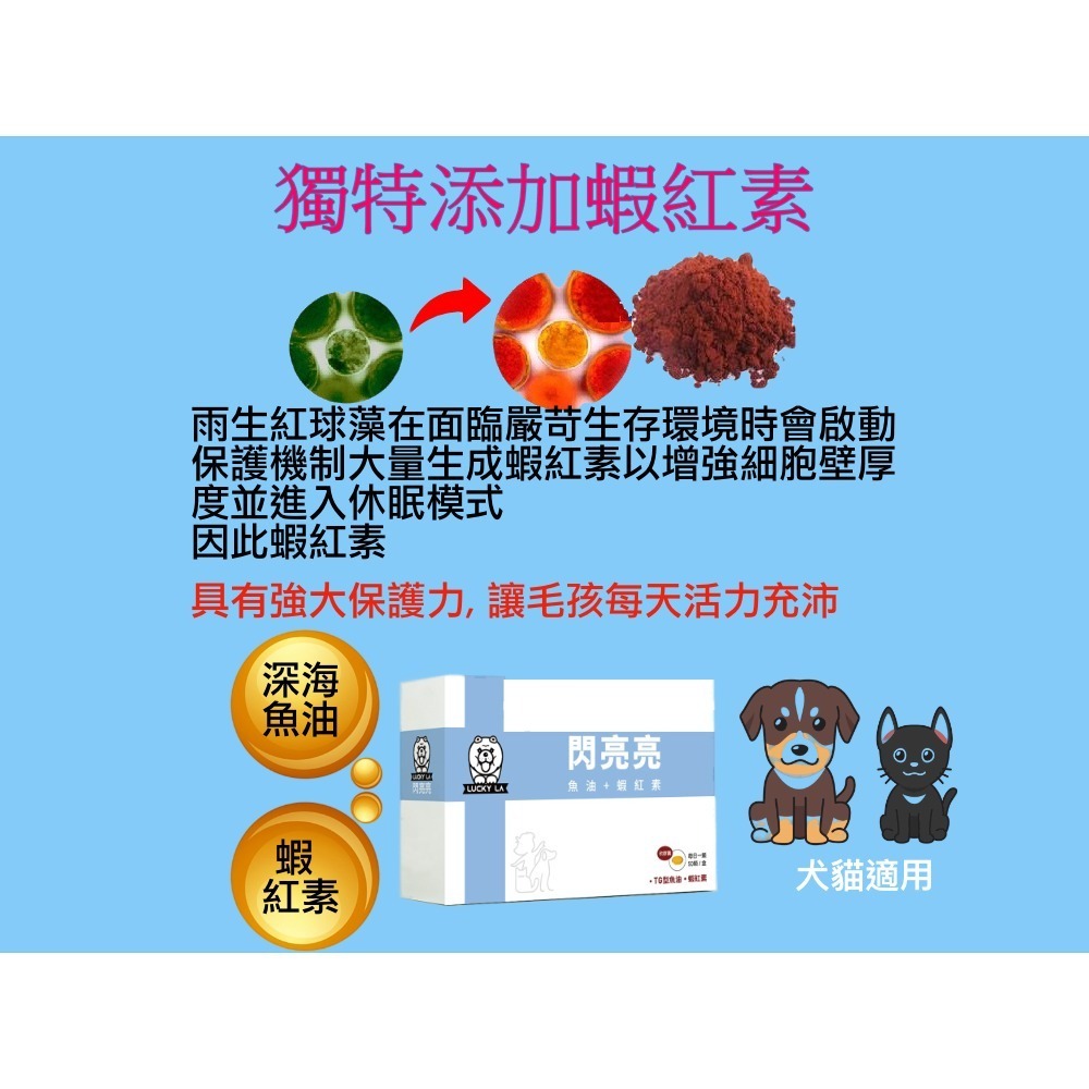 [萌小毛] 閃亮亮 寵物魚油 50顆/盒 閃亮魚油 蝦紅素魚油 黃金魚油 專利技術無魚腥味 5.0-細節圖7