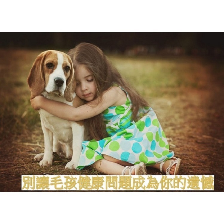 [Lucky LA 萌小毛] 寵物活力優[提升免疫力及腫瘤照護營養補給] 老年及虛弱狗貓 體力補給 褐藻 薑黃 人參-細節圖3