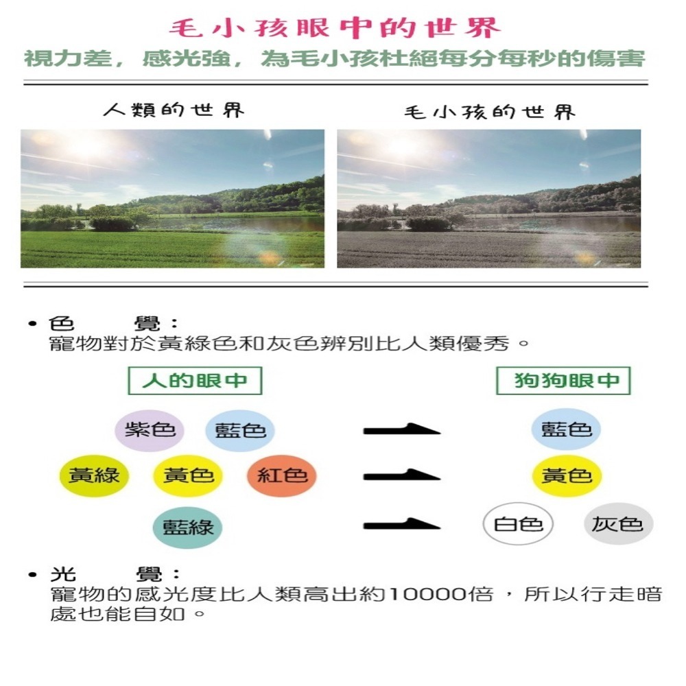 [Lucky LA 萌小毛] 寵物葉黃素-膠囊型 游離型葉黃素+微藻DHA+蝦紅素 獸醫極力推薦 護眼專科 毛孩葉黃素-細節圖5