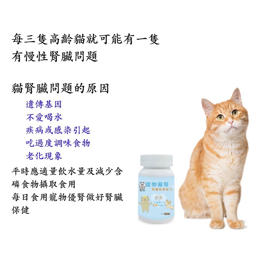 [Lucky LA 萌小毛] 寵物優腎  優腎 寵物腎臟保健 冬蟲夏草菌絲體 南瓜子萃取 葡萄糖酸鋅-細節圖3