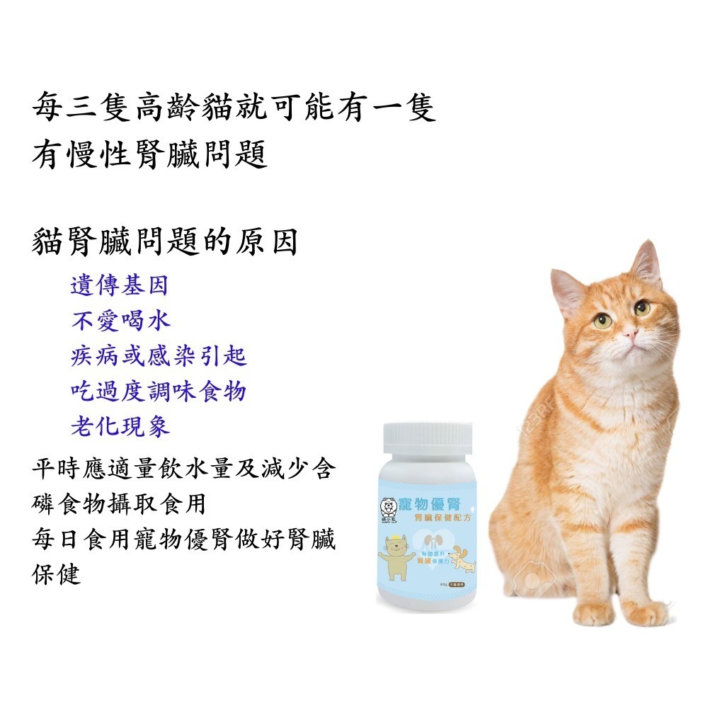 [萌小毛] 寵物優腎  優腎 寵物腎臟保健 冬蟲夏草菌絲體 南瓜子萃取 葡萄糖酸鋅-細節圖3