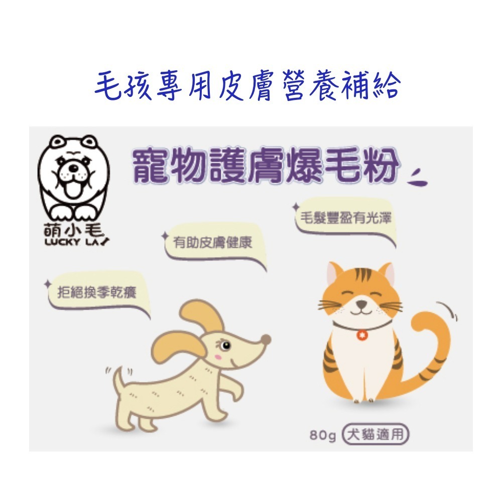 [Lucky LA 萌小毛] 寵物護膚鱉蛋爆毛粉80g 寵物爆毛粉-細節圖4