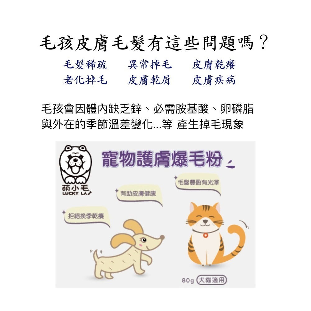 [Lucky LA 萌小毛] 寵物護膚鱉蛋爆毛粉80g 寵物爆毛粉-細節圖6