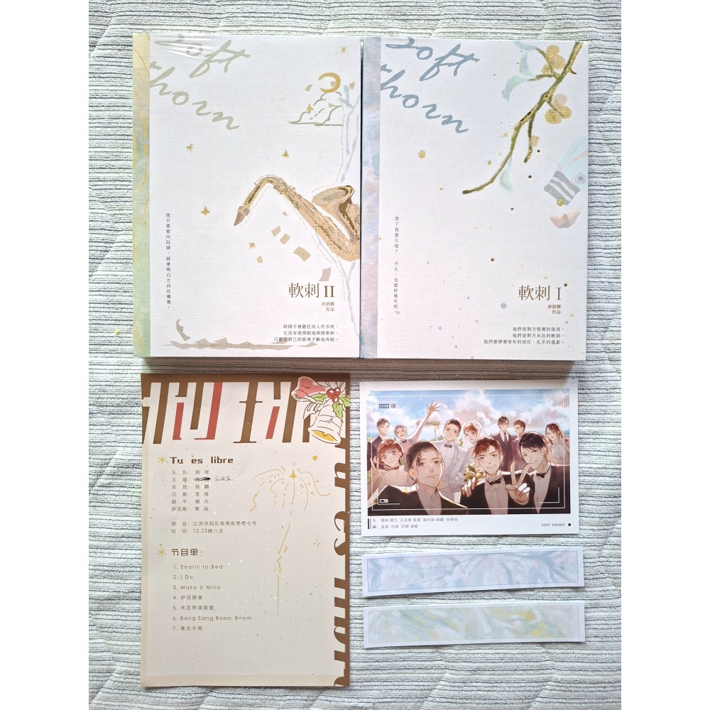 濯瀴 軟刺 唐酒卿 二刷周全 二手 全新未拆 墨扉 原耽 耽美小說 BL-細節圖2