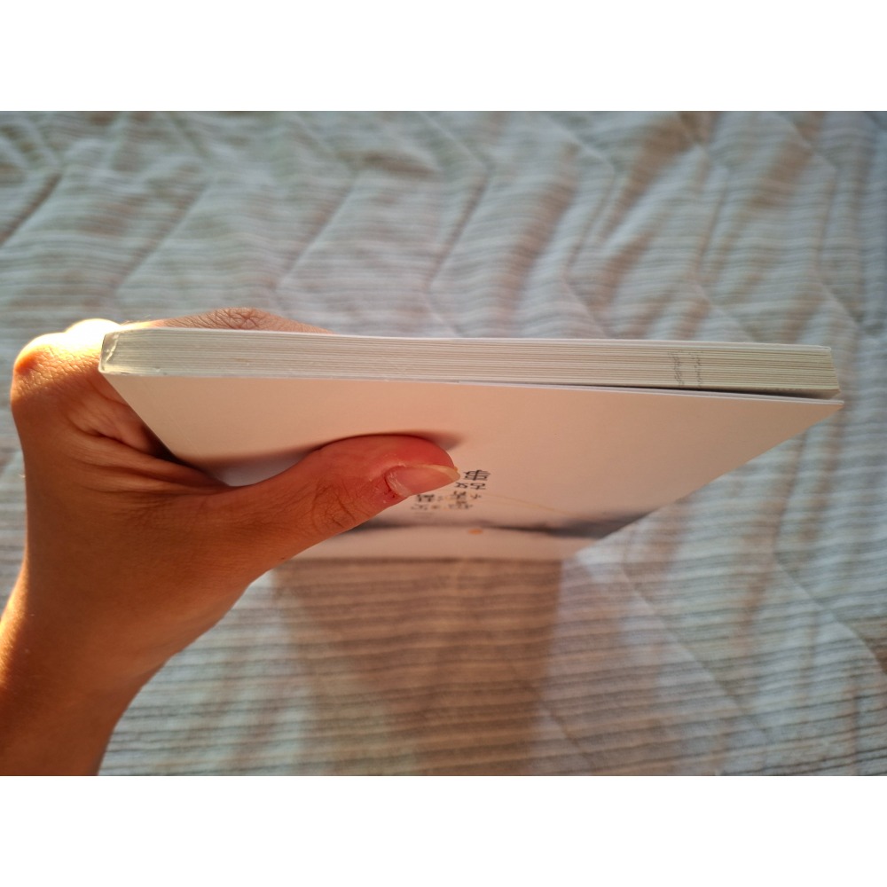 二崁溝愛情故事 折一枚針 童子 純書 威向 原耽 耽美小說 BL-細節圖4