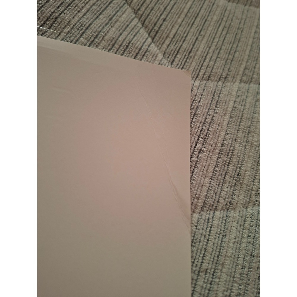 和影帝決議結婚之後 故箏 旭儒 前x抽特周全 二手 原耽 耽美小說 BL-細節圖2