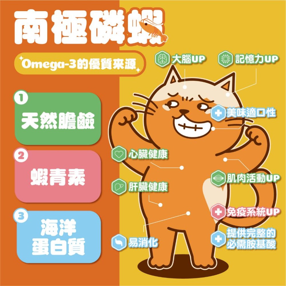 【肉球世界】小資主食罐福袋  歪嘴貓主食罐80g+鮮味大絲肉絲主食罐80g+品牌提袋｜送禮自用 貓罐頭濕食 鮪魚/雞肉-細節圖5