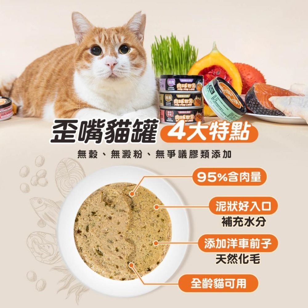 加價購【肉球世界】歪嘴貓主食罐80g｜機能保健貓罐 無穀低磷 無爭議膠 挑嘴貓罐 主食貓罐 濕貓食 高適口性-細節圖3