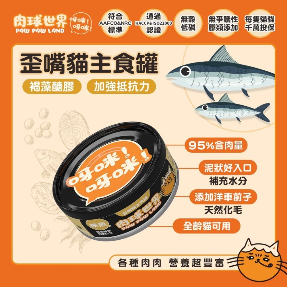加價購【肉球世界】歪嘴貓主食罐80g｜機能保健貓罐 無穀低磷 無爭議膠 挑嘴貓罐 主食貓罐 濕貓食 高適口性-細節圖4