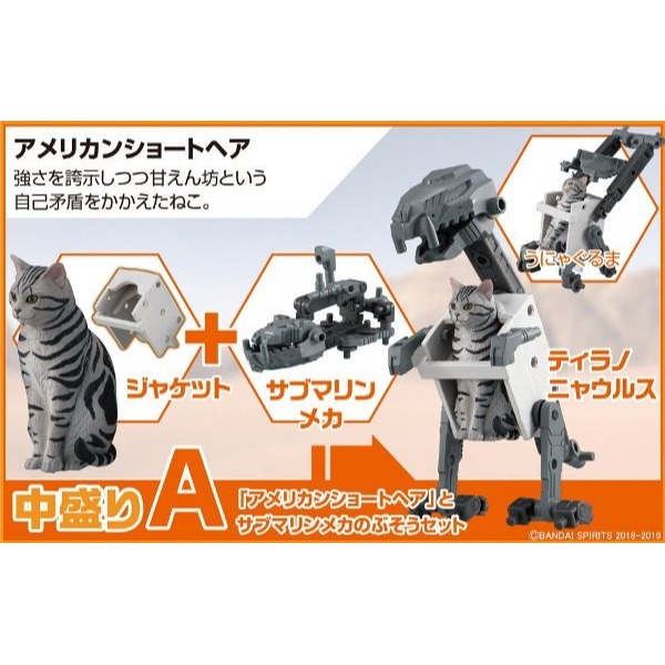 【高雄天利鄭姐】日本 BANDAI 5056802 貓咪武裝3 武裝神貓3 遠古型態 中等份量 ABCD 4款一套-細節圖2