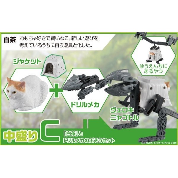 【高雄天利鄭姐】日本 BANDAI 5056802 貓咪武裝3 武裝神貓3 遠古型態 中等份量 ABCD 4款一套-細節圖4