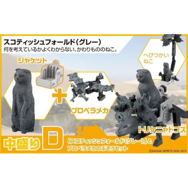 【高雄天利鄭姐】日本 BANDAI 5056802 貓咪武裝3 武裝神貓3 遠古型態 中等份量 ABCD 4款一套-細節圖5