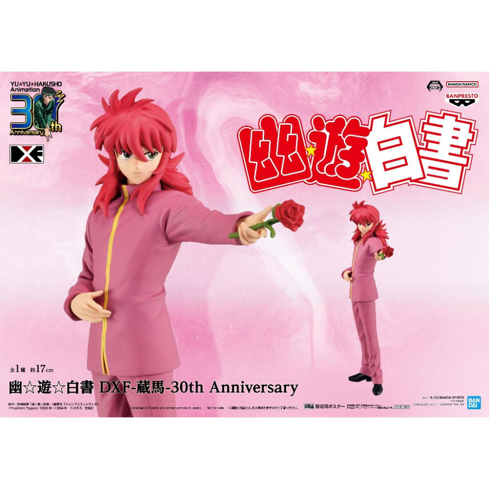 [那模好玩] 現貨 BANPRESTO 景品 幽遊白書 DXF 藏馬 30周年紀念 公仔-細節圖4