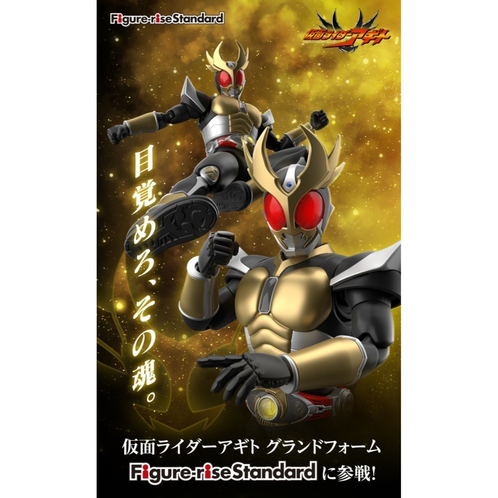 萬代 Figure-rise Standard FRS 假面騎士 顎門 大地型態 AGITO 鄂門-細節圖2