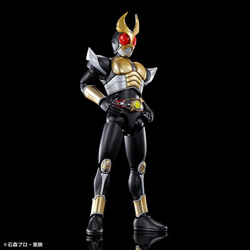萬代 Figure-rise Standard FRS 假面騎士 顎門 大地型態 AGITO 鄂門-細節圖6