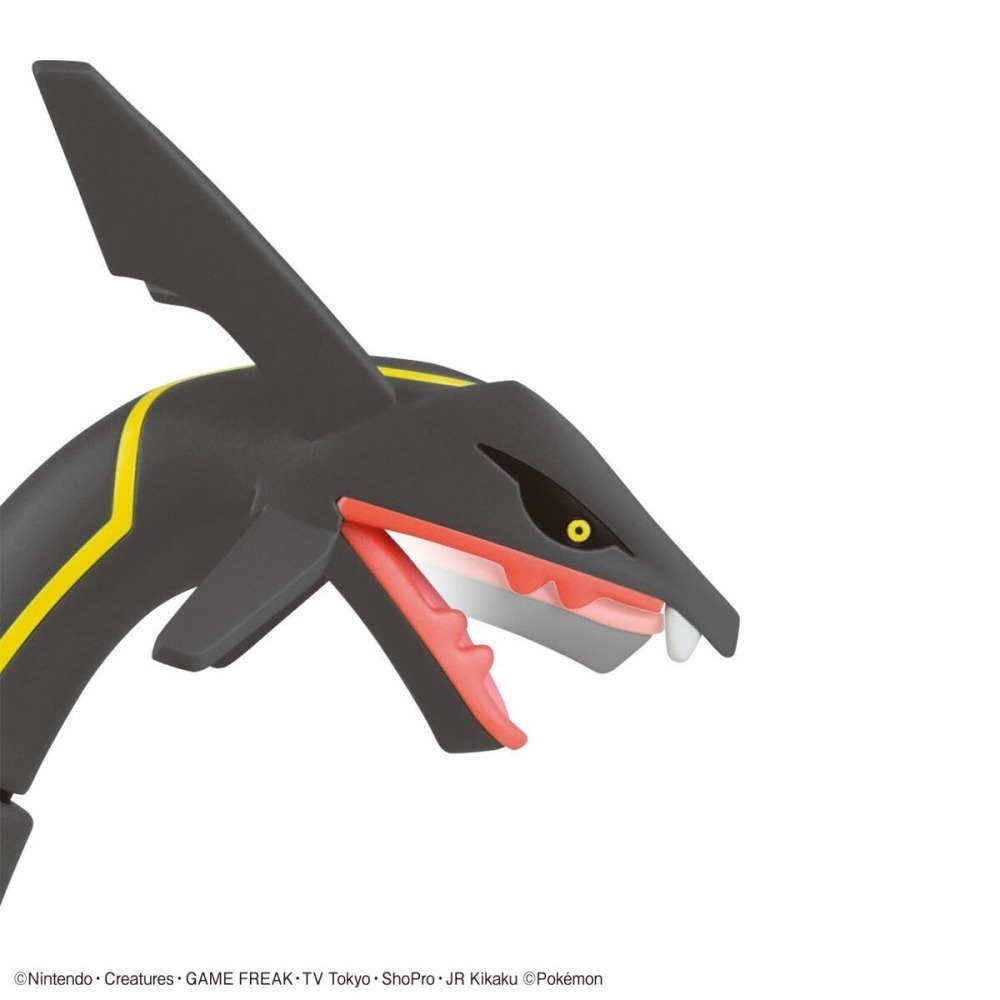 萬代 組裝模型 Pokemon Pokepla 精靈寶可夢 神奇寶貝 烈空座 黑色烈空座 色違烈空座 異色烈空座-細節圖8
