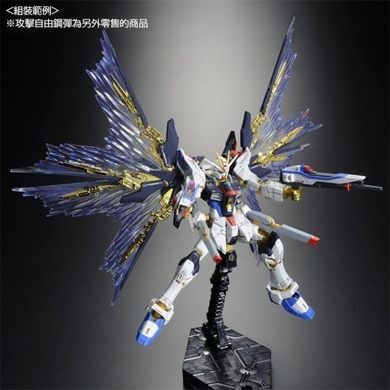 套組合售 萬代 鋼彈SEED RG 1/144 攻擊自由 自由鋼彈 攻自 光翼 光之翼 龍騎兵 浮游炮 感應炮-細節圖5
