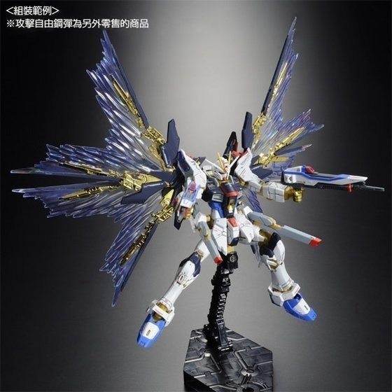 套組合售 萬代 鋼彈SEED RG 1/144 攻擊自由 自由鋼彈 攻自 光翼 光之翼 龍騎兵 浮游炮 感應炮-細節圖5