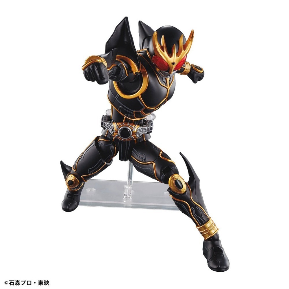 萬代 Figure-rise Standard FRS 假面騎士 空我 究極形態 究極空我 Kuuga 五代雄介-細節圖8