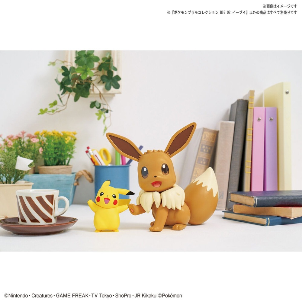 萬代 組裝模型 Pokemon Pokepla BIG 02 精靈寶可夢 神奇寶貝 巨大版 伊布 20公分-細節圖3