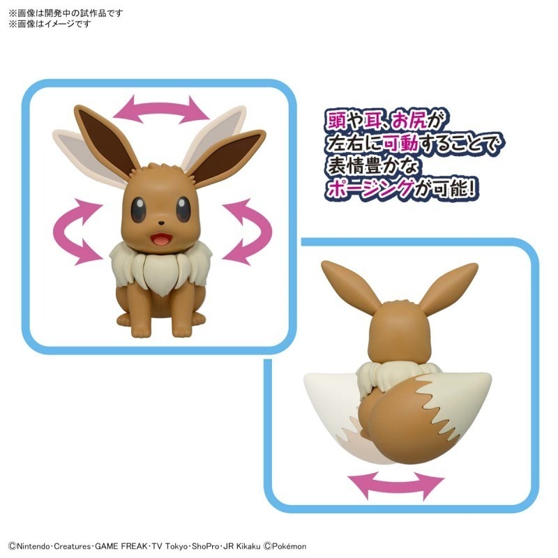 萬代 組裝模型 Pokemon Pokepla BIG 02 精靈寶可夢 神奇寶貝 巨大版 伊布 20公分-細節圖9