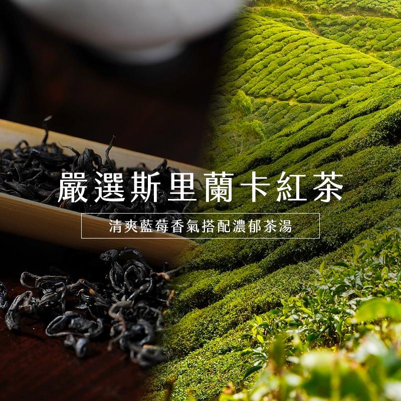 【Teavoya嘉柏茶業】藍莓紅茶包 24g x 25包/袋 水果茶 紅茶 茶包 風味茶 藍莓茶 鍋煮紅茶 露營飲料-細節圖4