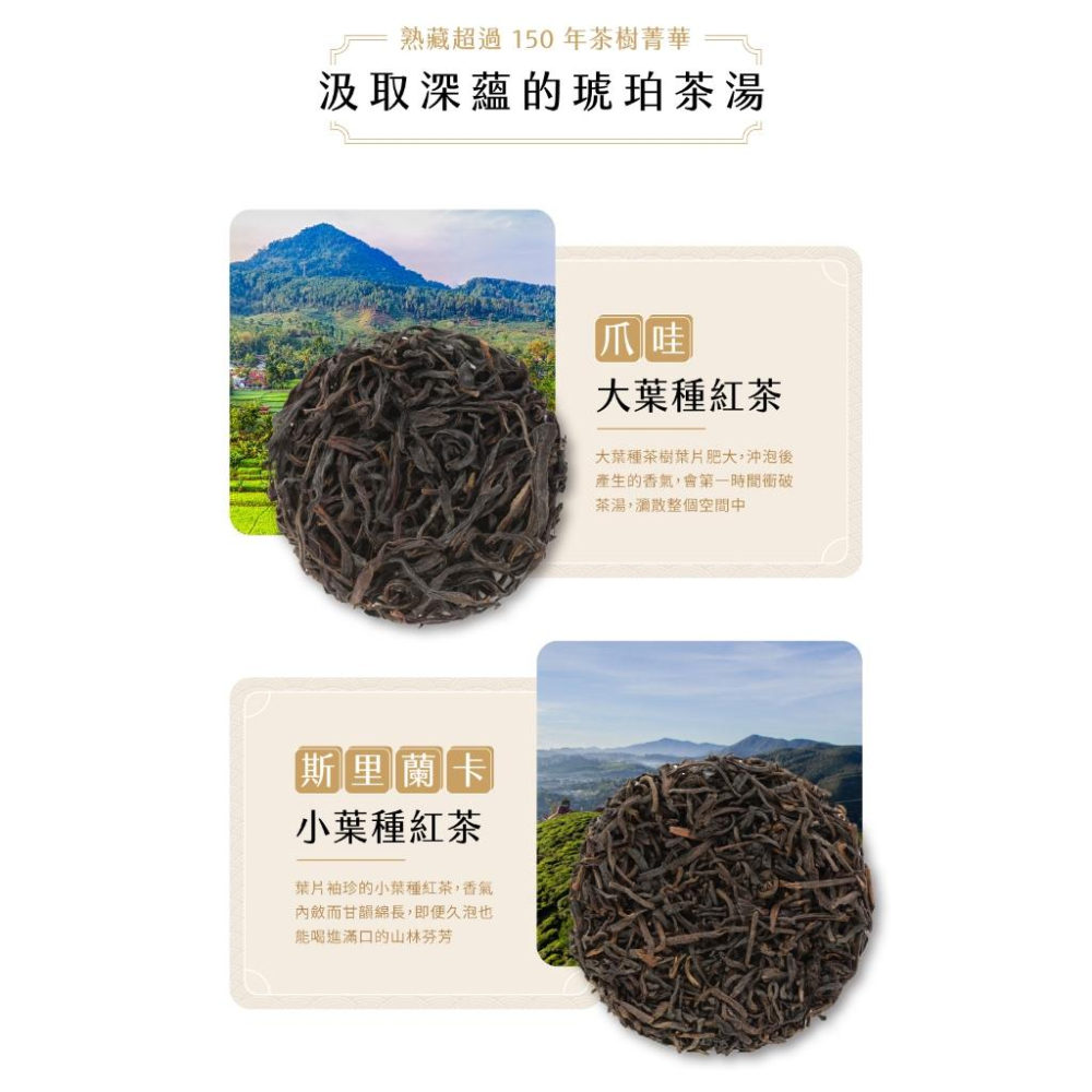 【Teavoya嘉柏茶業】港式奶茶專用茶包50g x 2包+黑白淡奶385ml x 2罐 奶茶DIY 鍋煮奶茶 香港奶茶-細節圖4