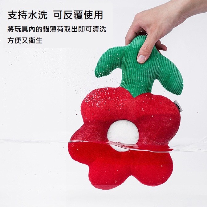 【現貨秒出】Zeze花造型狗貓玩具 狗狗玩具 狗狗玩偶 貓咪玩具 狗狗體力消耗 貓咪互動-細節圖3