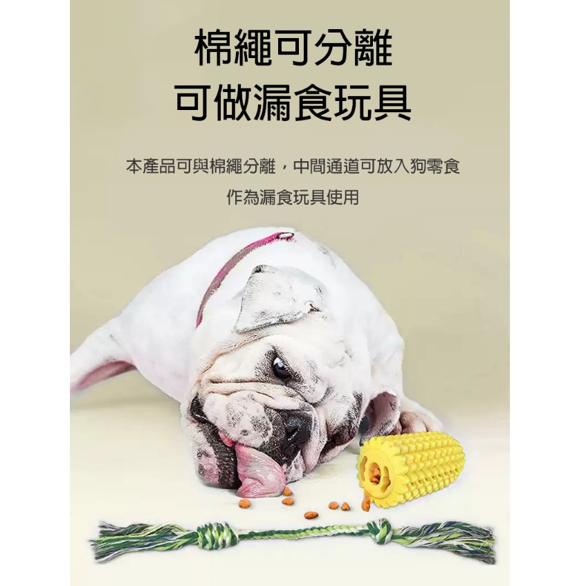 【現貨秒出】玉米潔牙玩具 狗狗磨牙 狗狗潔牙骨 寵物耐咬玩具 狗狗 狗狗玩具耐咬 寵物玩具耐咬狗狗玩具-細節圖2
