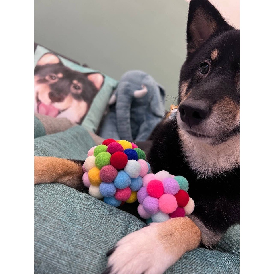 【現貨秒出】 貓咪彩虹鈴鐺球 逗貓球 貓咪玩具 貓咪互動鈴鐺球 貓咪彩虹毛絨球 貓咪鈴鐺球  貓咪互動 貓咪玩具-細節圖2