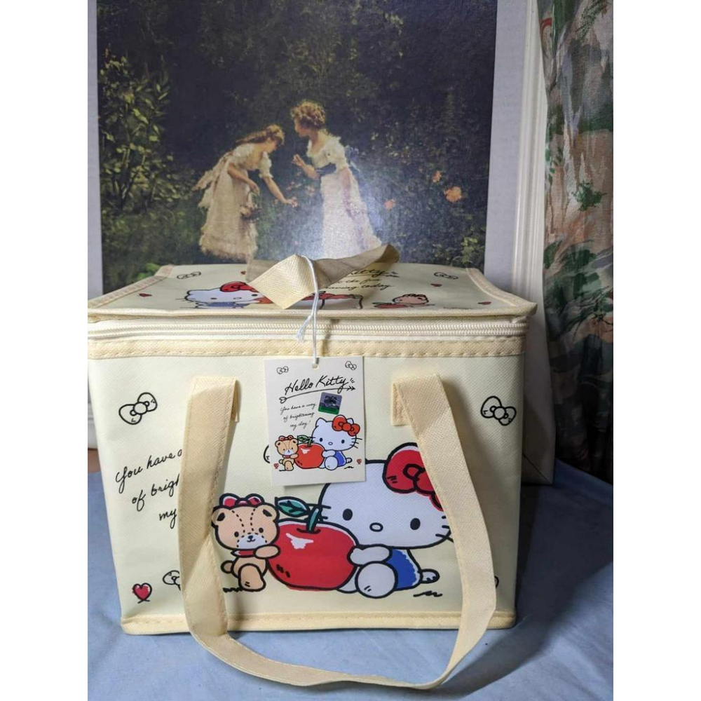 正版 Hello Kitty 戶外保溫袋  無仿布保溫袋 保冷袋-細節圖3