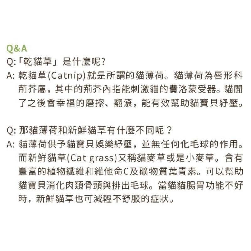 現貨 汪喵星球 頂級木天蓼 蟲癭果棒棒 貓咪紓壓 頂級貓薄荷棒棒 貓薄荷 貓草 乾貓草-細節圖5