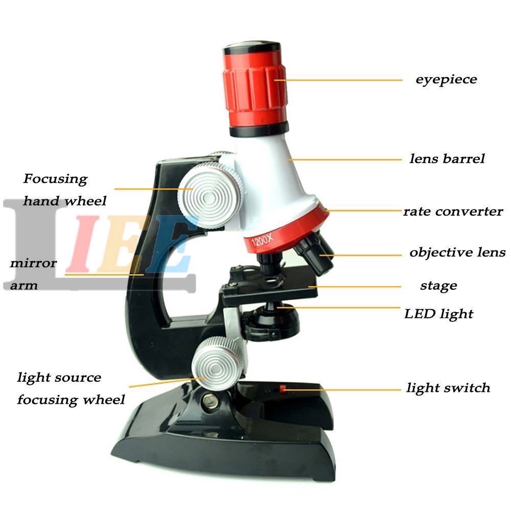 兒童科學顯微鏡早教玩具變焦生物精緻科學儀器教育兒童玩具-細節圖6