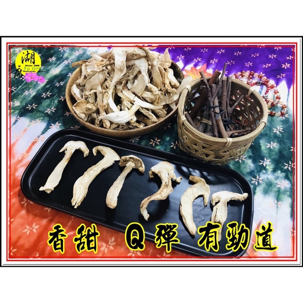 松茸 松茸片 香格里拉松茸片 松菌 松口菌【迪化街門市火速出貨】-細節圖5