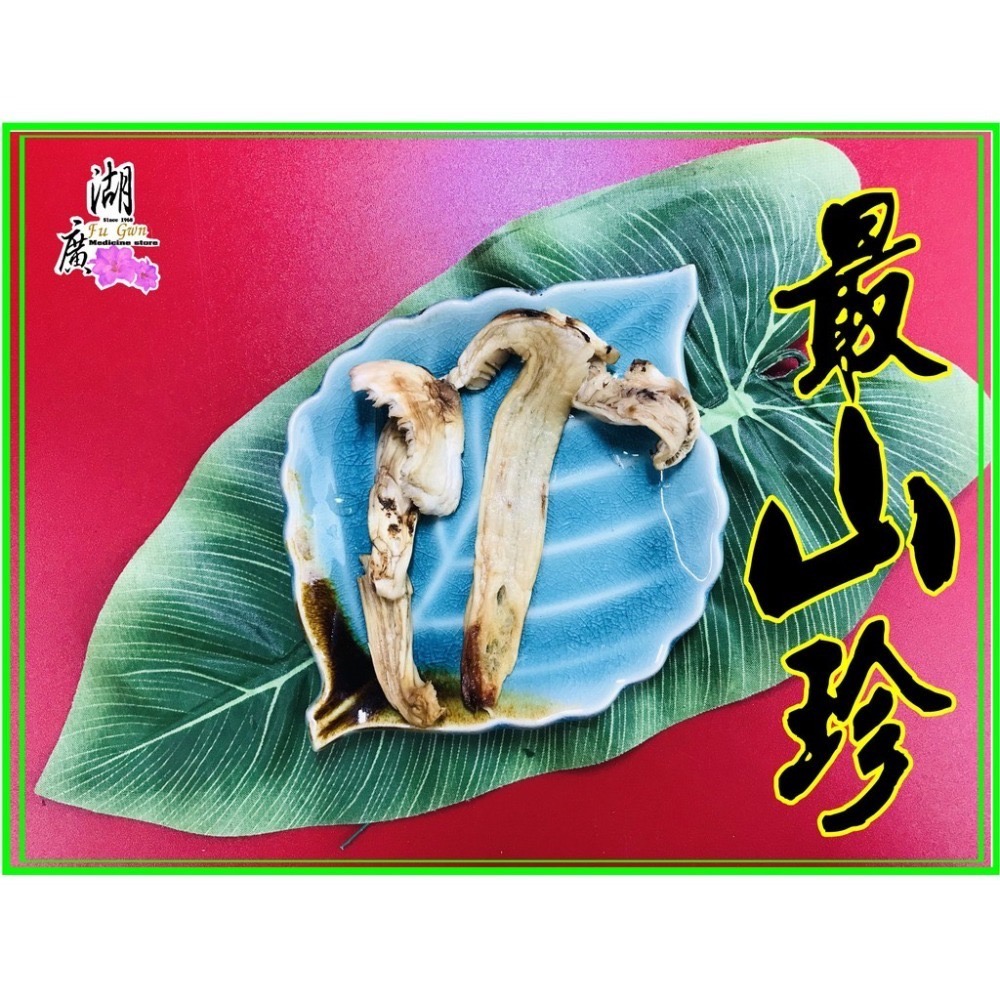 松茸 松茸片 香格里拉松茸片 松菌 松口菌【迪化街門市火速出貨】-細節圖9