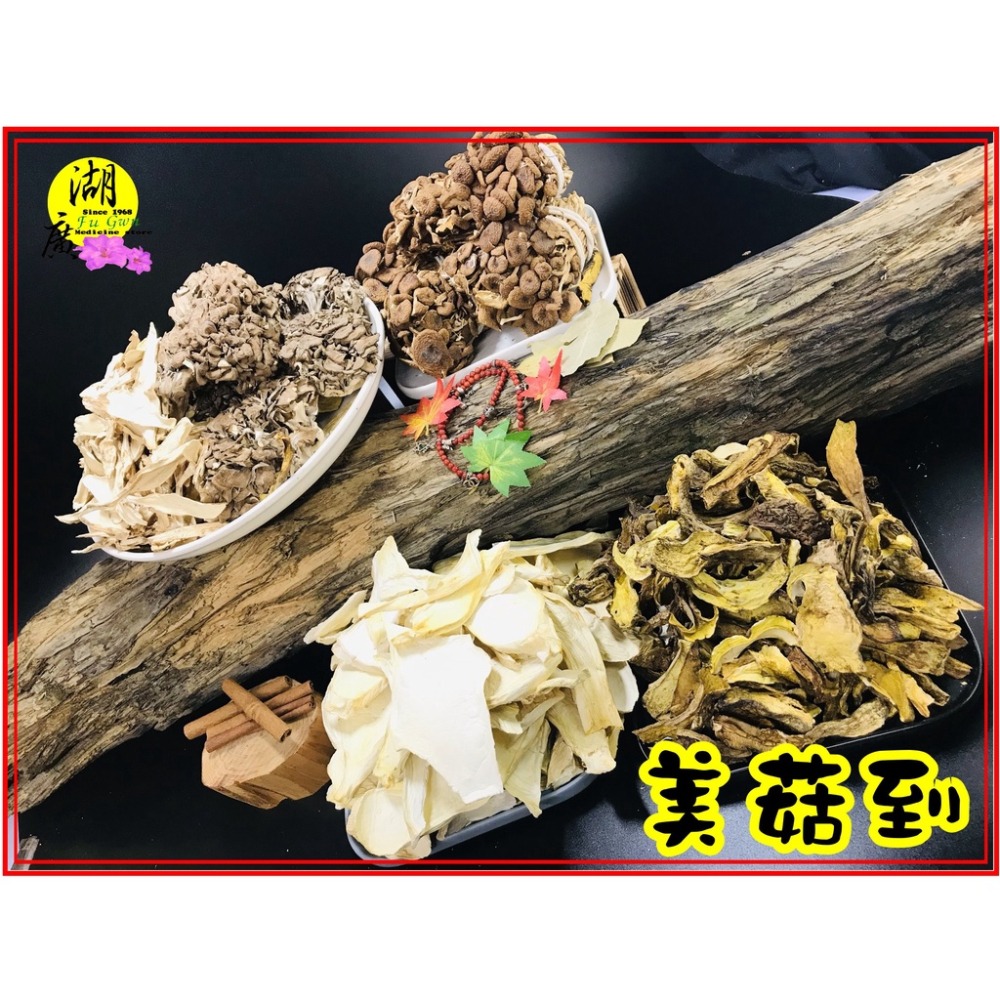 牛肝菌 野生牛肝菌菇 義大利牛肝菌 大腿蘑 【迪化街門市火速出貨】-細節圖5