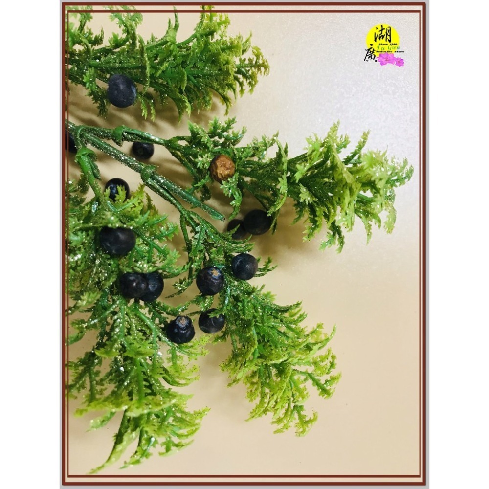 杜松子 Juniper 杜松果 杜松 花茶 【迪化街門市火速出貨】-細節圖3