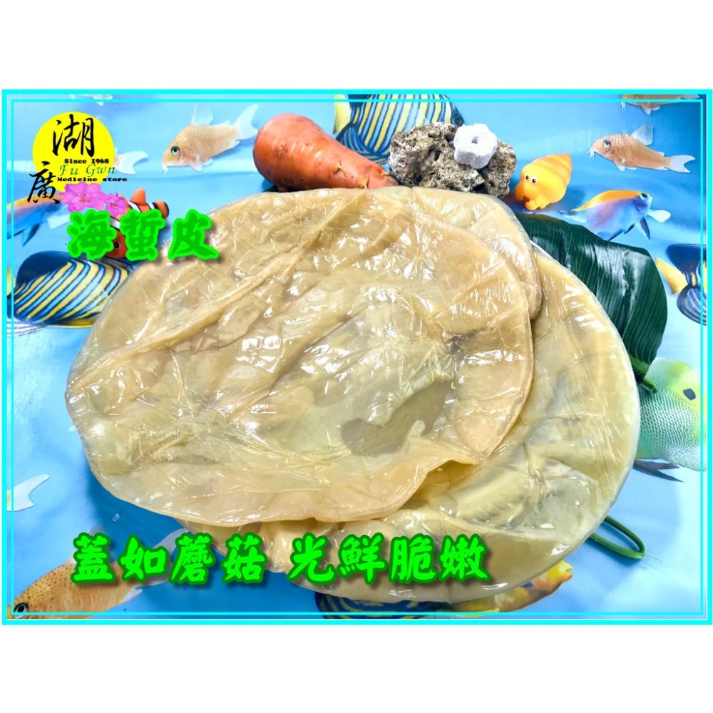 海蜇皮 海蜇頭 舟山海蜇 AAA最高等級 3A (非即食，需料理後食用)【迪化街門市火速出貨】-細節圖6