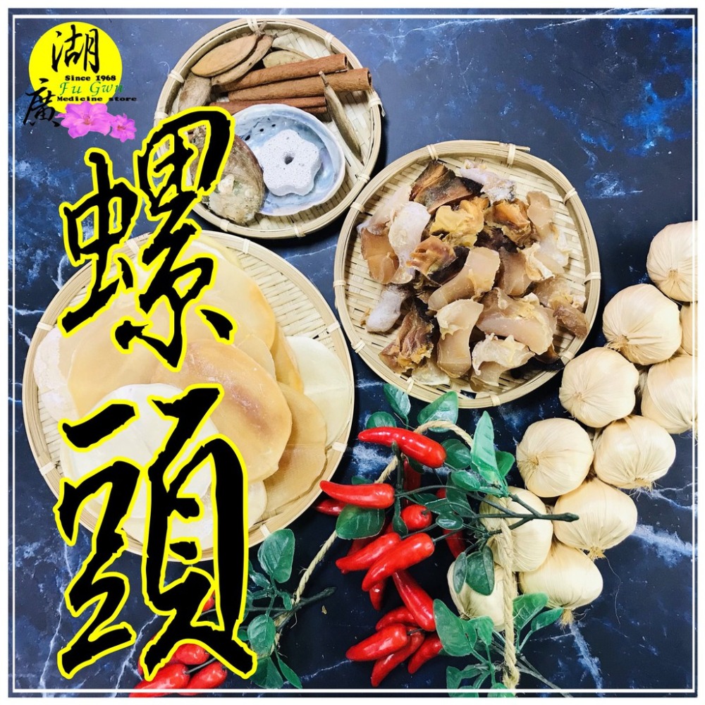 螺頭 海螺頭 響螺頭 海螺 煲湯 熬湯 蒸煮【迪化街門市火速出貨】-細節圖2