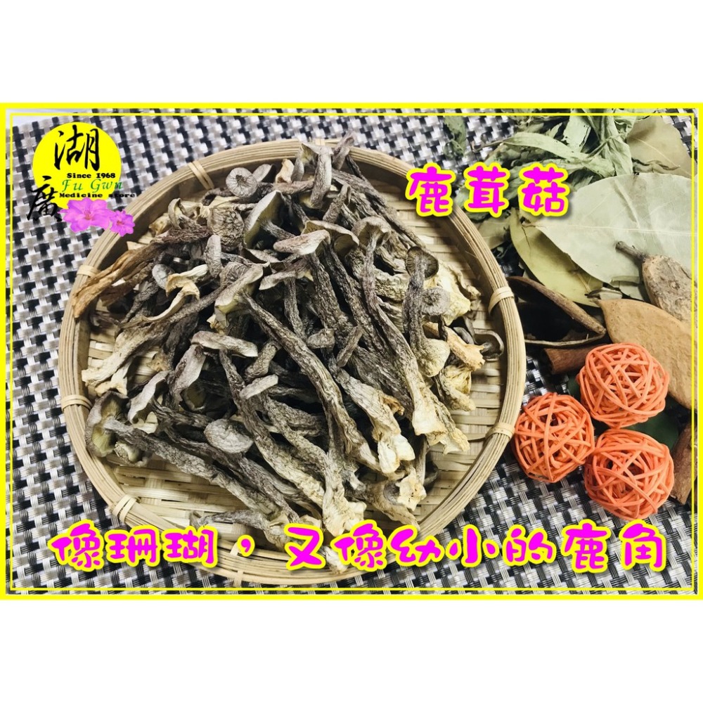 鹿茸菇 珊瑚菇 最香食用菌菇 素食聖品【迪化街門市火速出貨】-細節圖2