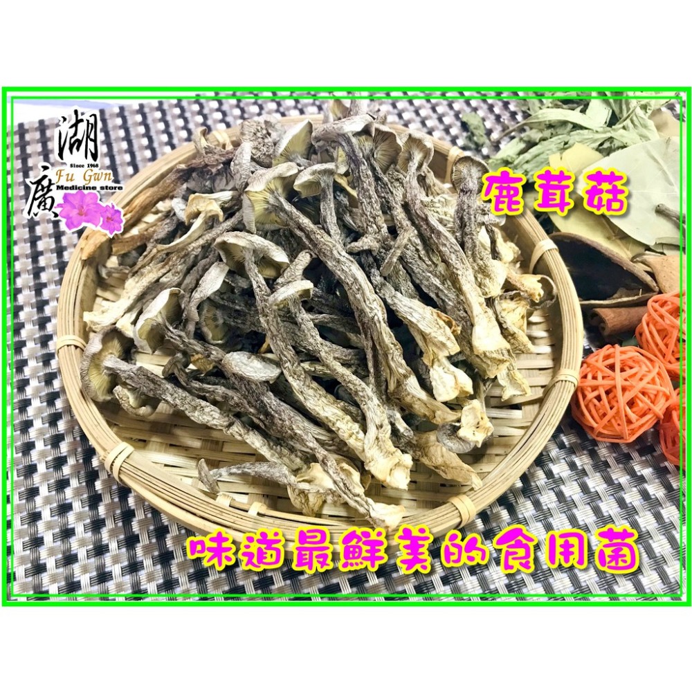 鹿茸菇 珊瑚菇 最香食用菌菇 素食聖品【迪化街門市火速出貨】-細節圖3