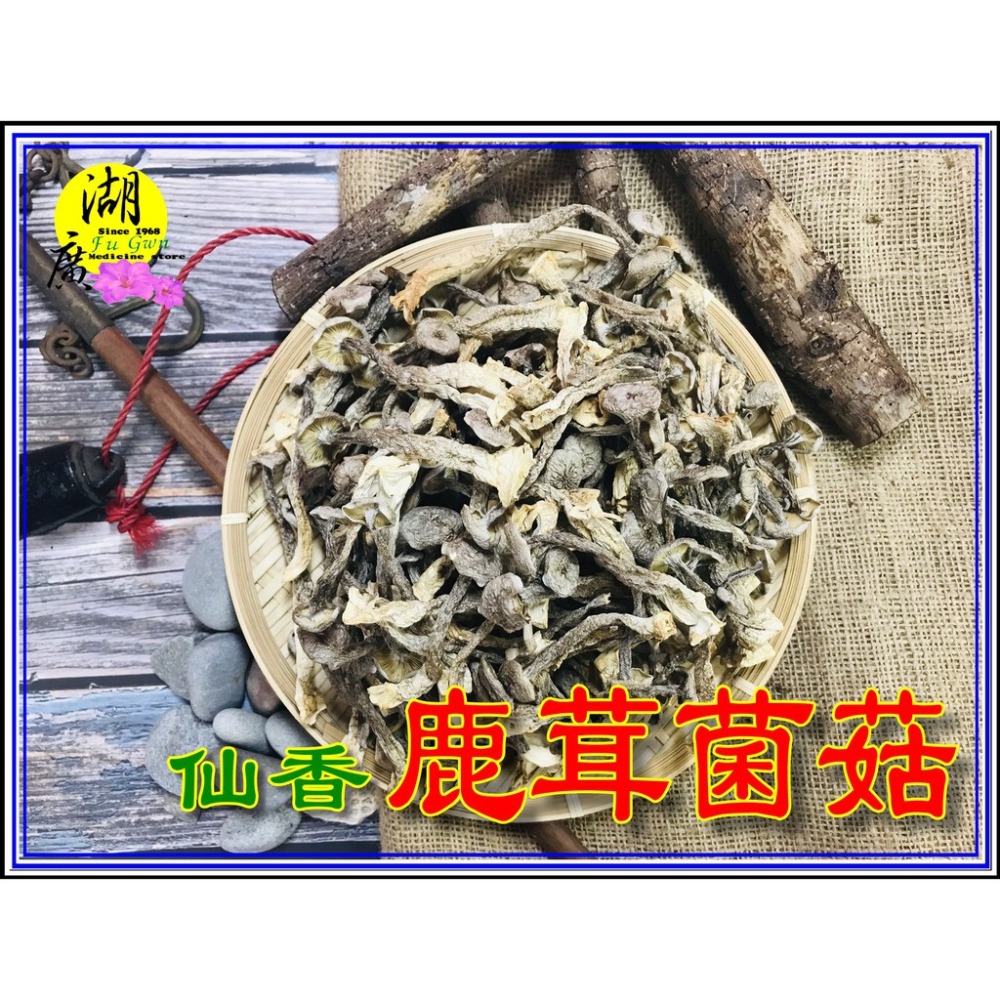 鹿茸菇 珊瑚菇 最香食用菌菇 素食聖品【迪化街門市火速出貨】-細節圖5