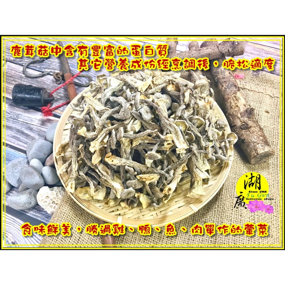 鹿茸菇 珊瑚菇 最香食用菌菇 素食聖品【迪化街門市火速出貨】-細節圖6