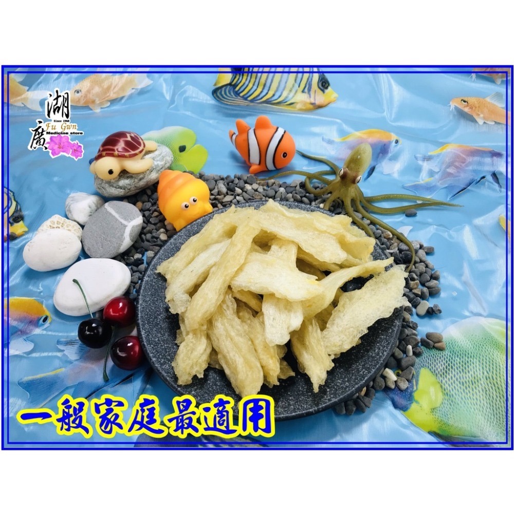 花膠 魚鰾 金龍花膠 魚肚  小黃花膠  魚膠 動物性膠原蛋白 【迪化街門市火速出貨】-細節圖7