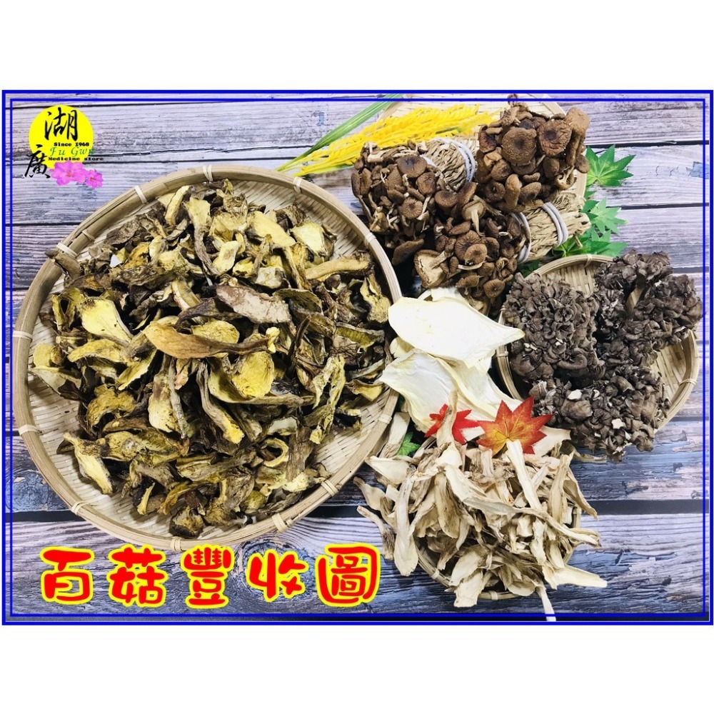 茶樹菇 柳松菇 柳松茸 新茶菇 菇菇香【迪化街門市火速出貨】-細節圖6