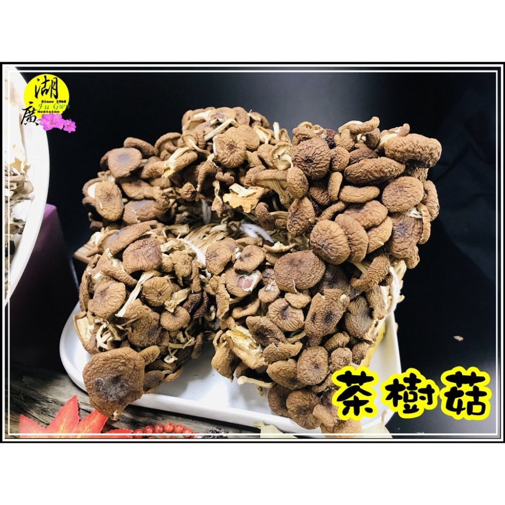 茶樹菇 柳松菇 柳松茸 新茶菇 菇菇香【迪化街門市火速出貨】-細節圖9