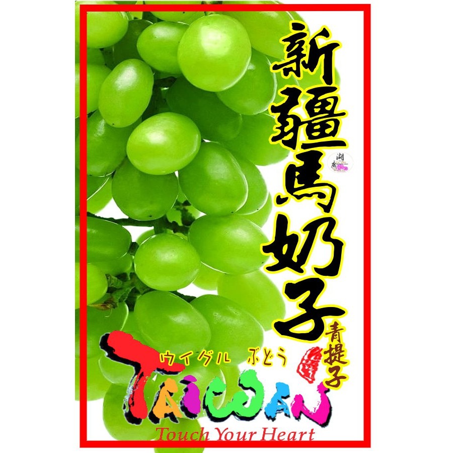 青提子-馬奶子葡萄乾-新疆特產【迪化街門市火速出貨】-細節圖2