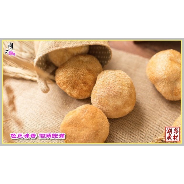 猴頭菇 猿頭菇 乾燥猴頭菇-四大名菜 ☆★台灣FDA檢驗合格★☆【迪化街門市火速出貨】-細節圖2